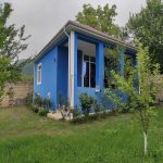 Kirayə (günlük) 3 otaqlı Həyət evi/villa Qəbələ 7