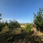 Продажа Участок Шамаха 13