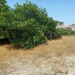 Satılır 5 otaqlı Bağ evi, Suraxanı rayonu 24