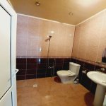 Satılır 5 otaqlı Həyət evi/villa, Əhmədli metrosu, kənd Əhmədli, Xətai rayonu 22