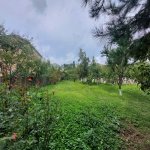 Продажа 10 комнатная Дома/Виллы Губа 6