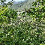 Satılır Torpaq Qax 7