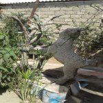 Satılır 3 otaqlı Həyət evi/villa, Maştağa qəs., Sabunçu rayonu 3