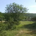 Satılır Torpaq Xızı 7