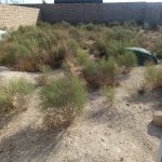 Продажа Участок, Зиря, Гянджлик Малл, Хязяр район 6