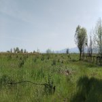 Продажа Участок Хачмаз 17