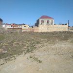 Satılır Torpaq, Saray, Abşeron rayonu 1
