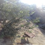 Satılır 3 otaqlı Həyət evi/villa, Pirşağı qəs., Sabunçu rayonu 3