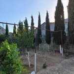 Satılır 3 otaqlı Həyət evi/villa, Mərdəkan, Xəzər rayonu 4