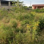 Продажа Участок Губа 5