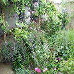 Kirayə (aylıq) 3 otaqlı Həyət evi/villa, Hövsan qəs., Suraxanı rayonu 2