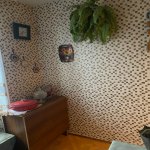 Аренда 1 комнат Вторичка, Насими район 7