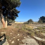 Продажа Участок, пос. Нардаран, Сабунчу район 6