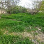 Satılır Torpaq, Digah, Abşeron rayonu 5