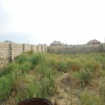 Satılır Torpaq, Məhəmmədli, Abşeron rayonu 3