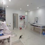 Kirayə (aylıq) Obyekt, Gənclik metrosu, Nəsimi rayonu 22