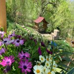 Kirayə (günlük) 3 otaqlı Həyət evi/villa Quba 24