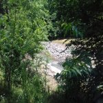 Kirayə (günlük) 5 otaqlı Həyət evi/villa Lerik 10