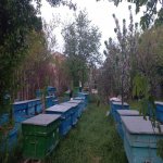 Satılır Torpaq, Mehdiabad, Abşeron rayonu 6