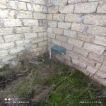 Satılır Torpaq, Ramana qəs., Sabunçu rayonu 1