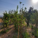 Satılır 6 otaqlı Həyət evi/villa, Masazır, Abşeron rayonu 7