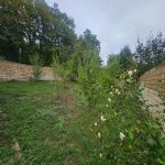 Satılır 3 otaqlı Bağ evi Qusar 10