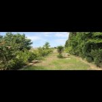 Satılır 4 otaqlı Həyət evi/villa, Ramana qəs., Sabunçu rayonu 4