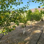 Satılır 12 otaqlı Bağ evi, Bilgəh qəs., Sabunçu rayonu 17