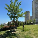 Kirayə (aylıq) 3 otaqlı Yeni Tikili, Elmlər akademiyası metrosu, Nərimanov heykəli, Yasamal rayonu 11