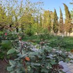 Satılır 5 otaqlı Bağ evi, Novxanı, Abşeron rayonu 24