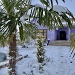 Kirayə (günlük) 4 otaqlı Həyət evi/villa İsmayıllı 5