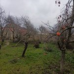 Продажа Участок, пос. Бюльбуля, Сураханы район 4