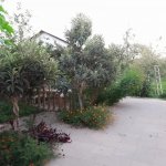 Kirayə (günlük) 3 otaqlı Həyət evi/villa İsmayıllı 10