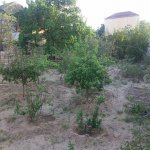 Satılır Torpaq, Novxanı, Abşeron rayonu 10