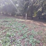 Satılır Torpaq Qəbələ 3