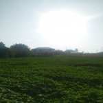Satılır 5 otaqlı Həyət evi/villa Qazax 7