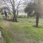 Satılır 4 otaqlı Bağ evi Astara 3
