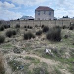 Satılır Torpaq, Saray, Abşeron rayonu 2