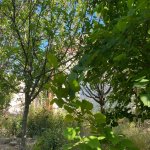Satılır 4 otaqlı Bağ evi, Mərdəkan, Xəzər rayonu 4