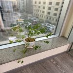 Kirayə (aylıq) 7 otaqlı Ofis, Nəriman Nərimanov metrosu, Nərimanov rayonu 13