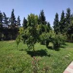 Kirayə (aylıq) 5 otaqlı Bağ evi, Buzovna, Xəzər rayonu 2