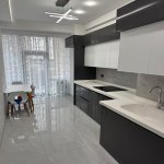 Продажа 3 комнатная Новостройка, м. Эльмляр Академиясы метро, Ясамал район 6
