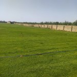 Продажа Участок, пос. Биня, Хязяр район 7