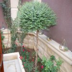 Satılır 5 otaqlı Həyət evi/villa, Lökbatan qəs., Qaradağ rayonu 3