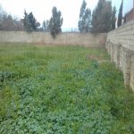 Satılır 6 otaqlı Bağ evi, Nardaran qəs., Sabunçu rayonu 7