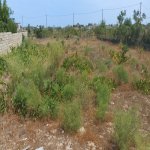 Satılır Torpaq, Kürdəxanı qəs., Sabunçu rayonu 3