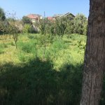 Satılır Torpaq, Novxanı, Abşeron rayonu 10