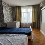 Kirayə (aylıq) 2 otaqlı Yeni Tikili, Nəriman Nərimanov metrosu, Heydər Əliyev Mərkəzi, Nərimanov rayonu 4