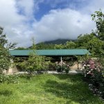 Kirayə (günlük) 3 otaqlı Həyət evi/villa Qəbələ 15