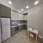 Аренда 2 комнатная Новостройка, м. 28 Мая метро, Насими район 9